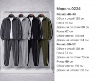 Мужской костюм Lar-0006