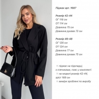 Пиджак Anb-0024