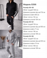 Мужской костюм Lar-0007