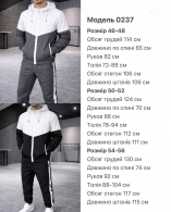 Мужской костюм Lar-0009